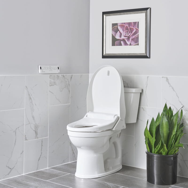 toilet